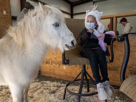 From Albuquerque Journal: "Miniature-equine therapy center in Cerrillos delights visiting kids" (Dec 10, 2022).