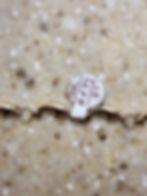 Thumbnail: 10k Yellow Gold Bracelet