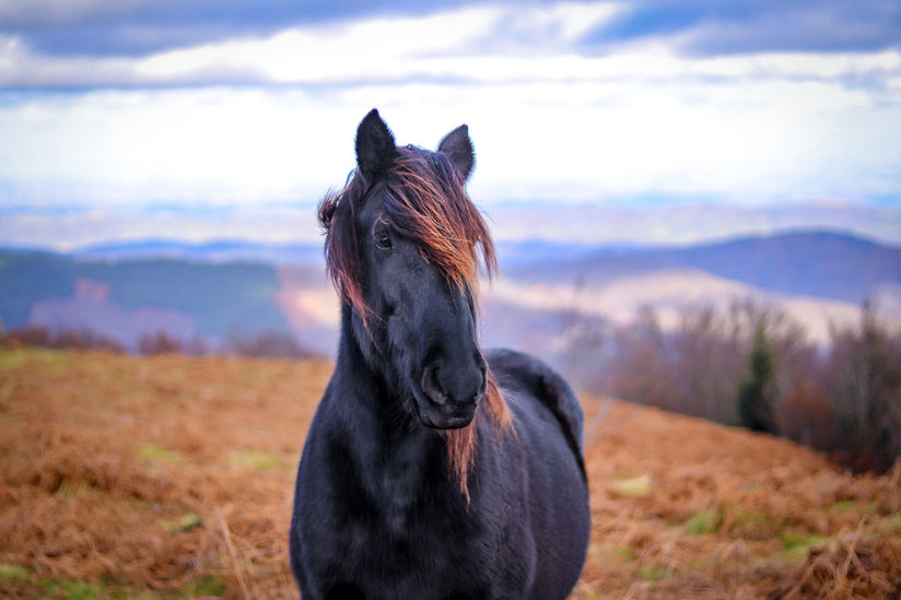 fred-moon-O86CMwdoi8s-unsplash.jpeg