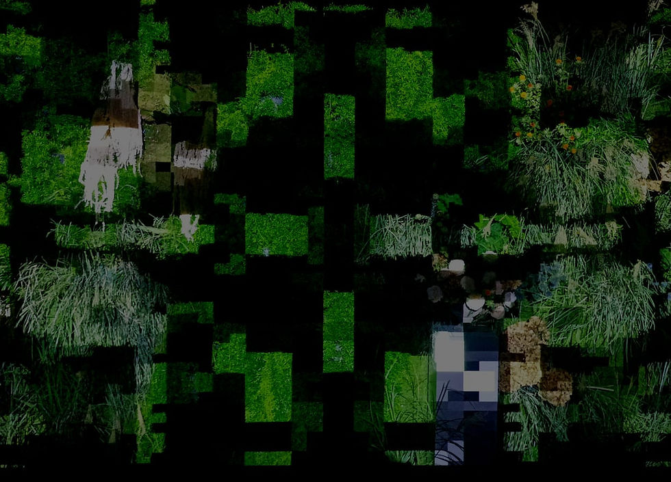 obra jaime de los rios.jpeg