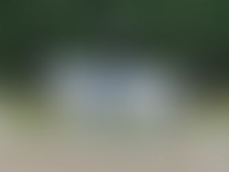 Dressur-Fiasko mit Lachgarantie: Was Richter auf diesen Protokollen notierten, glaubt keiner!