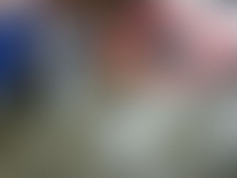 Frau klaut Pferd für nächtliche Wanderung: Ihre Erklärung ist mehr als kurios