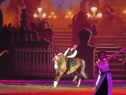 PETA erhebt schwere Vorwürfe gegen Pferdemesse „Passion Pferd“ in Hannover