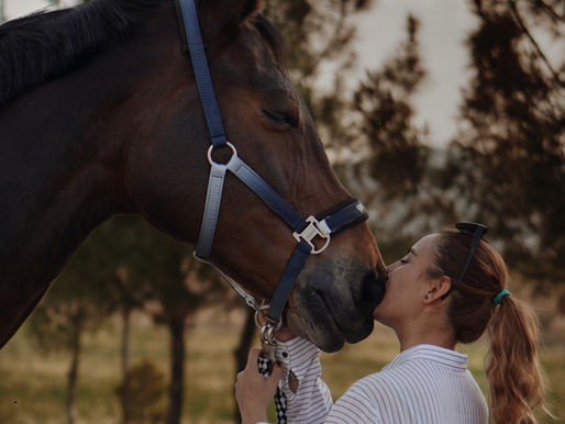 Studie: Dein Herz schlägt im Takt mit dem deines Pferdes – wenn du es wirklich liebst!