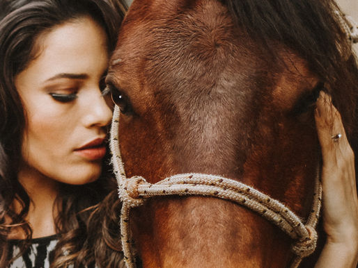 Schwere Entscheidung: Wann ist der richtige Zeitpunkt, ein Pferd zu verkaufen?