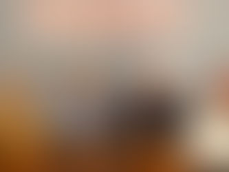 Große Diskussion auf der Equitana: Hat der Reitsport eine Zukunft?