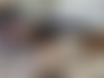 „Größe ist nicht alles!“: Mini-Ponys begeistern mit guter Laune und tollen Tricks