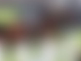 Niederlage für Olympiasieger Kukuk: Gesamtsieg bei Global Champions Tour verpasst