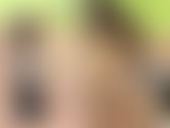 Herzerwärmend: Collie bricht aus – nur um seinen besten Freund, ein Pferd, zu sehen!