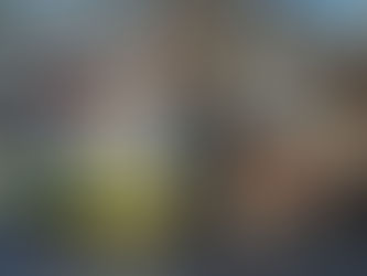 Stephaniritt: Zuschauer aus ganz Deutschland feiern frostig-sonniges Pferdespektakel