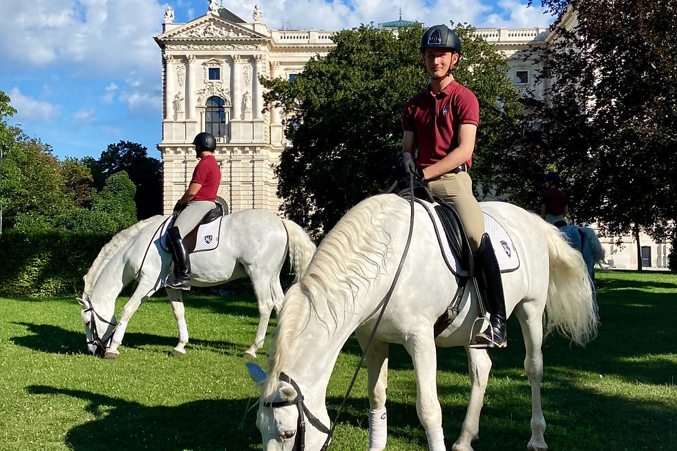 Veränderungen an der Spanischen Hofreitschule: Wie sie ihr umstrittenes Image retten will