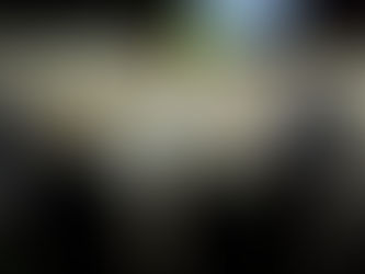 Mann darf 10 Jahre lang keine Pferde halten: Der Grund ist erschütternd