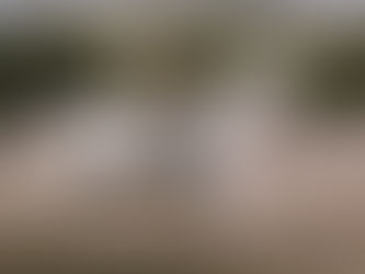 So wird dein Pferd zum Dressurstar: 6 überraschende Tipps für den „Wow“-Trab