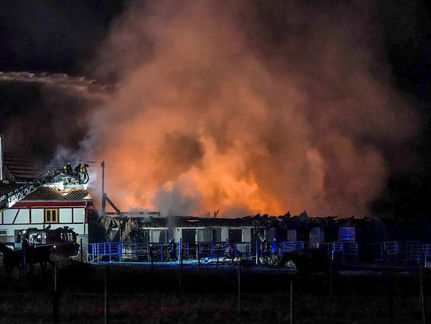 Reitanlage in Flammen