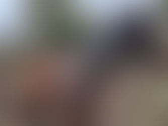 Rettung in letzter Minute: Kleingarten-Besitzer versteckte vernachlässigte Pferde