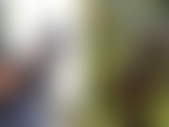 Traumatischer Reitunfall: Traktorfahrer hinterlässt Chaos – die Wahrheit macht fassungslos!