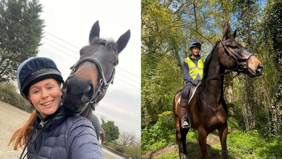 Traumatischer Reitunfall: Traktorfahrer hinterlässt Chaos – die Wahrheit macht fassungslos!