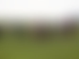 160 Jahre Geschichte: Dieses Gestüt engagiert sich für bedrohte Pferderassen