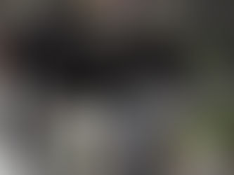 Kroatische Region im Ausnahmezustand: Wilde Pferde bringen Chaos und Gefahr