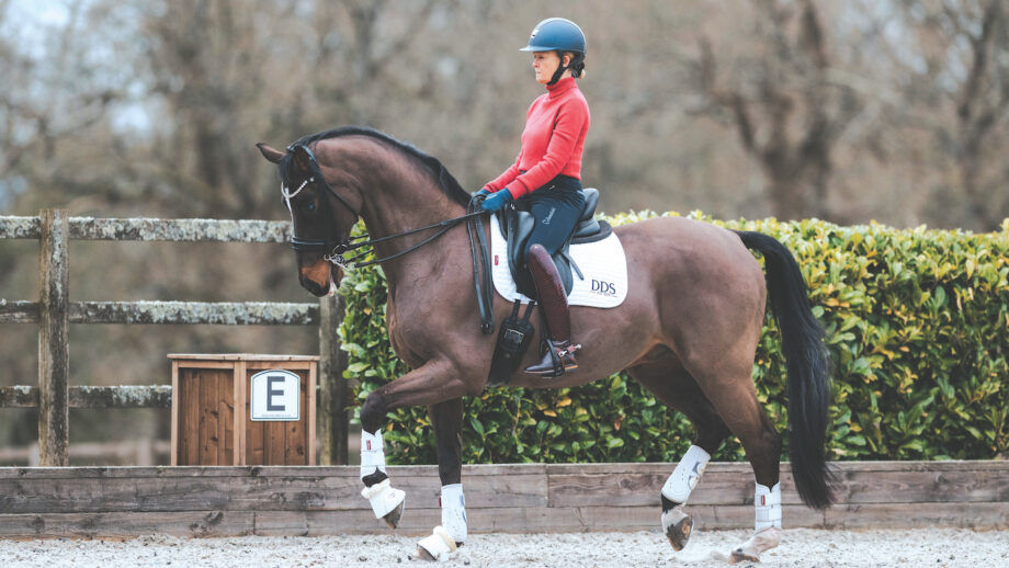 Nicola Naylor mit Pferd