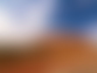 Jagd auf Wildpferde: Warum Australien jetzt tausende Tiere aus der Luft abschießt!