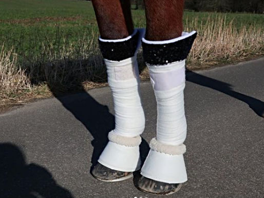Bandagen für Pferde: Anwendung, Arten und Tipps