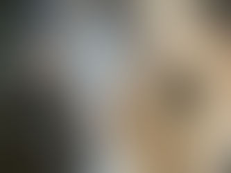 Fellwirbel enthüllen das Geheimnis: So tickt ein Pferd wirklich