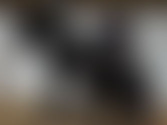 Unaufhaltsam trotz Rollstuhl: Faye und ihr Pferd "Majestic" erobern die Welt