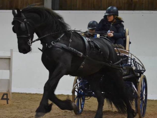 Unaufhaltsam trotz Rollstuhl: Faye und ihr Pferd "Majestic" erobern die Welt