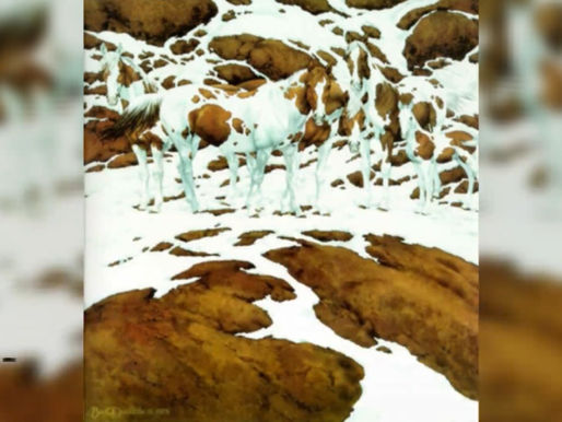 Nur GENIES sehen auf Anhieb alle Pferde im Schnee: Löst du das Rätsel in 10 Sekunden?
