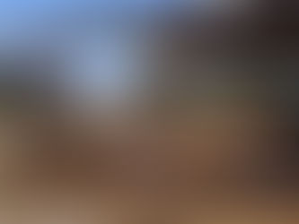 Schock auf Mallorca: Tierschützer decken „Stall des Grauens“ auf