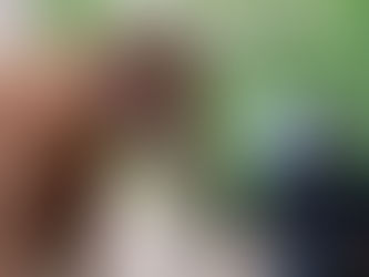 Vom „Feuerpferd“ im Zirkus zum Glückspony: Chesney findet ein Zuhause fürs Leben