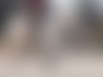 EU-Parlament diskutiert über Verbot von Kandaren und fragwürdigen Reitmethoden