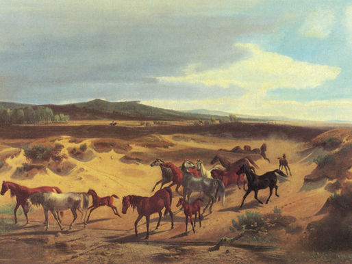 Nur noch 58 Exemplare: Diese seltenen NRW-Pferderasse droht das Ende