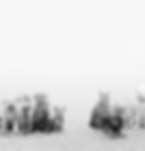 more lower dog header.jpg