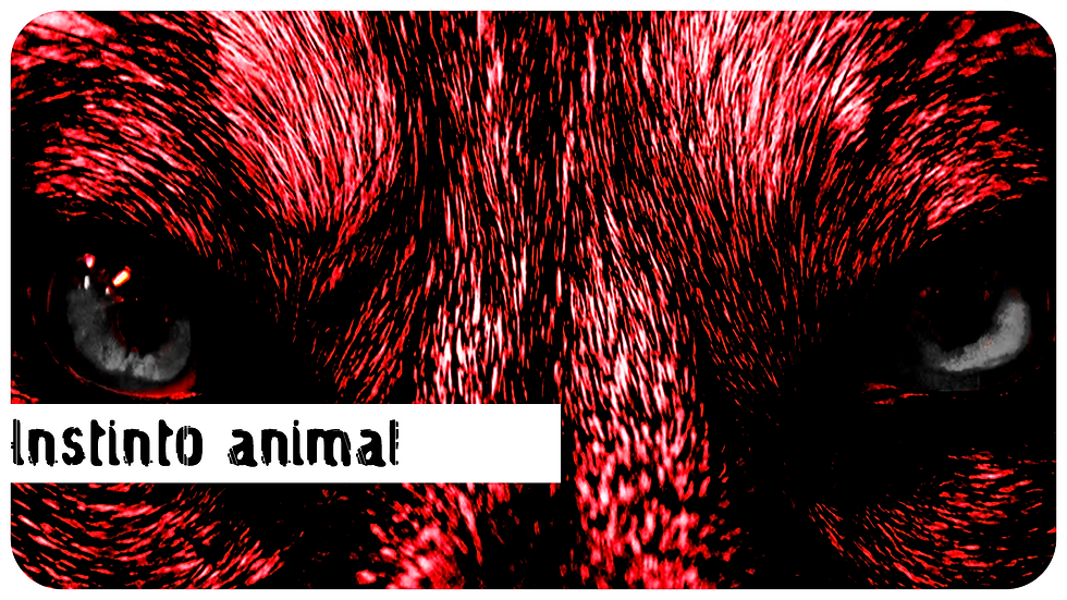 01 INSTINTO ANIMAL CON BORDE.png