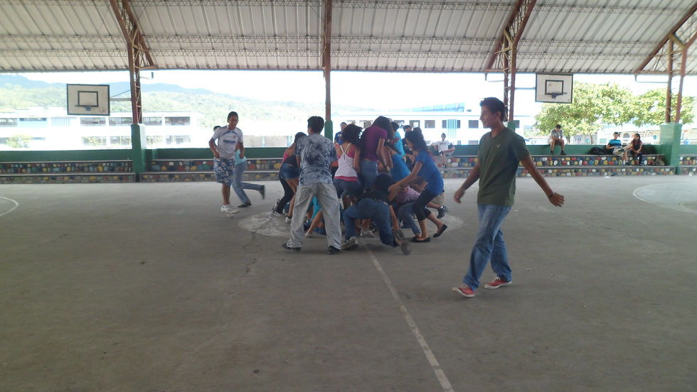 Grupo Scaut SAFA