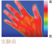 thermo1.png
