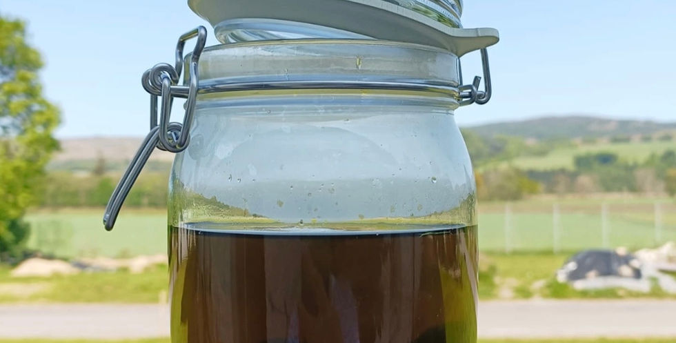 Botanical Pigments and Printmaking. Letterpress and Art Studio Scotland.