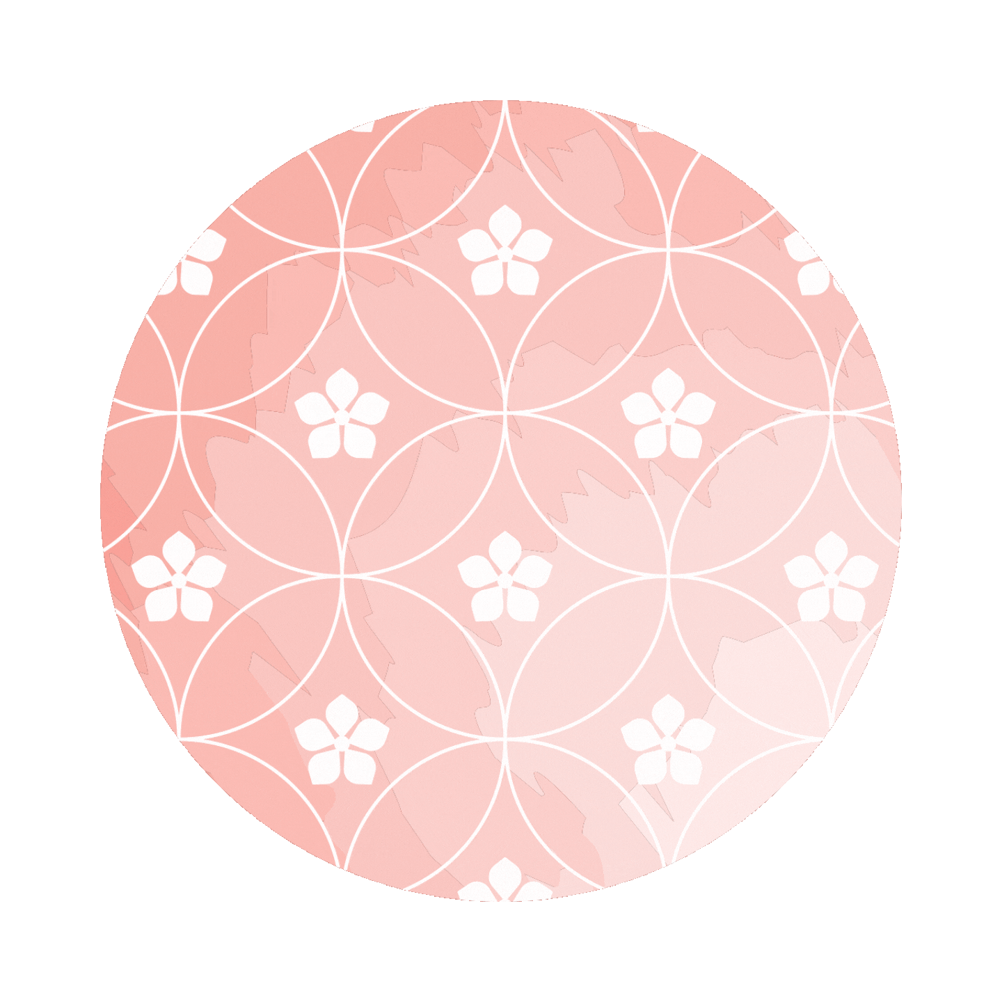5.gif