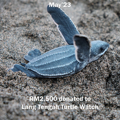 RM2,500 donated to Lang Tengah Turtle Watch