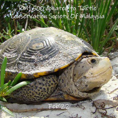RM1,500 donated to Turtle Conservation Society Of Malaysia