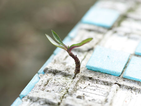 The Importance of Hope