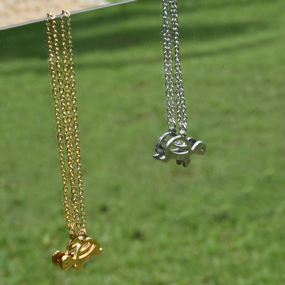 Thumbnail: Cute Turtle Necklace