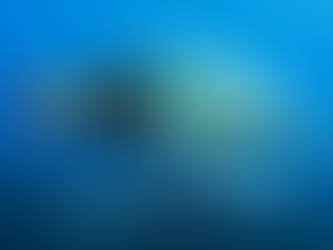 Ocean-Friendly Choices: How Your Decisions Can Save the Ocean