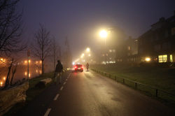 Utrecht Morning