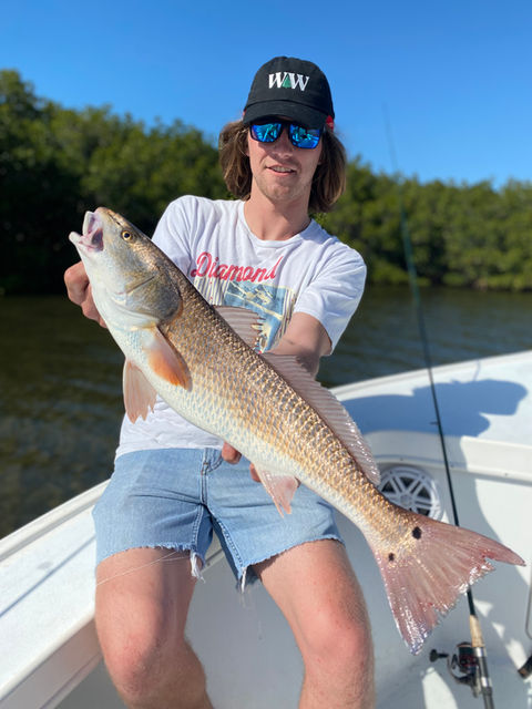 red drum fish
