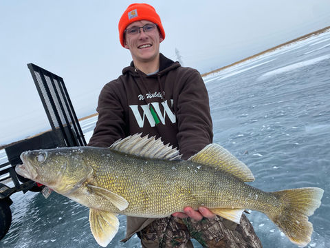big walleye fish