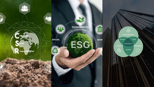 Phân biệt CSR - ESG - Phát triển bền vững: Những điều bạn cần biết 