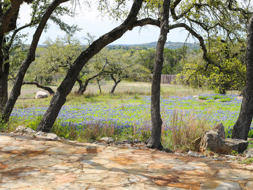 Live Oaks Lawn
